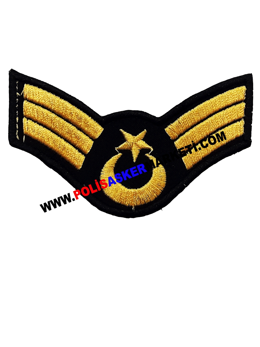 JANDARMA HARİCİ ASTSUBAY KIDEMLİ ÇAVUŞ KOL RÜTBESİ